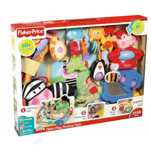  Visit the Fisher-Price Store Fisher-Price Discover n Grow Open Play Musical Gym