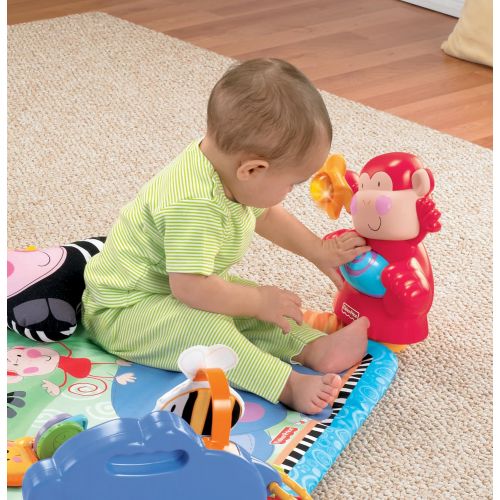  Visit the Fisher-Price Store Fisher-Price Discover n Grow Open Play Musical Gym