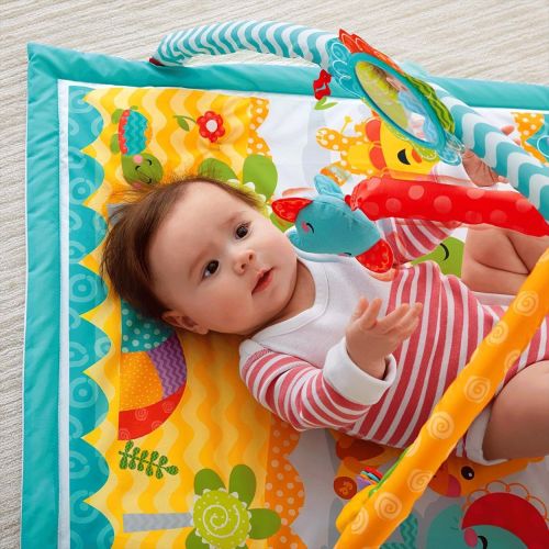  Fisher-Price Wigglin Play Gym