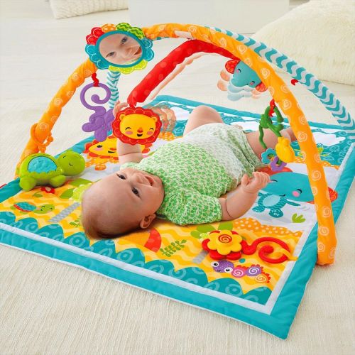  Fisher-Price Wigglin Play Gym