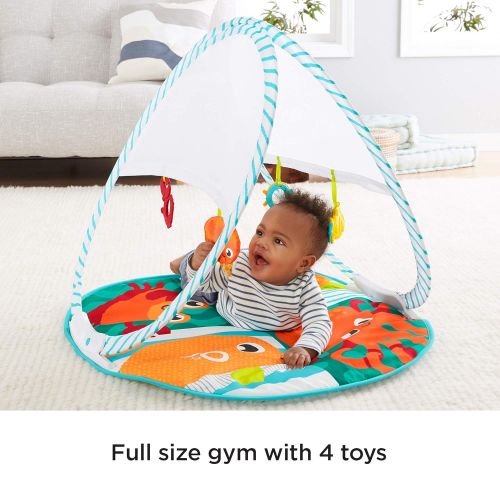  Visit the Fisher-Price Store Fisher-Price Fold & Go Portable Gym FFP