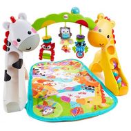 Visit the Fisher-Price Store Newborn-to-Toddler Play Gym