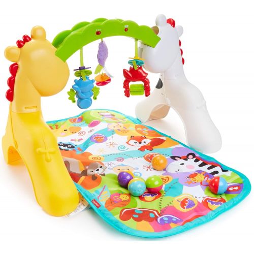  Visit the Fisher-Price Store Newborn-to-Toddler Play Gym