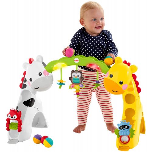  Visit the Fisher-Price Store Newborn-to-Toddler Play Gym