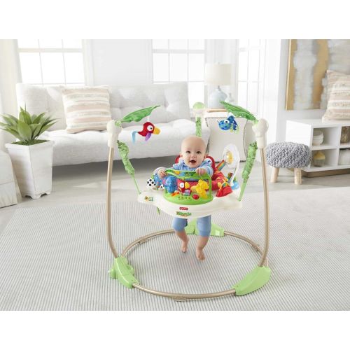  [무료배송] 피셔프라이스 Fisher-Price 레인포레스트 점퍼루 Rainforest Jumperoo 클래식 러닝홈/유아용품/아이장난감/아이교육/아이성장