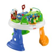 Fisher-Price Twirlin Whirlin Entertainer (Discontinued by Manufacturer)