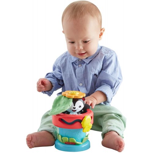  Fisher-Price Peek n Play Flower Pot