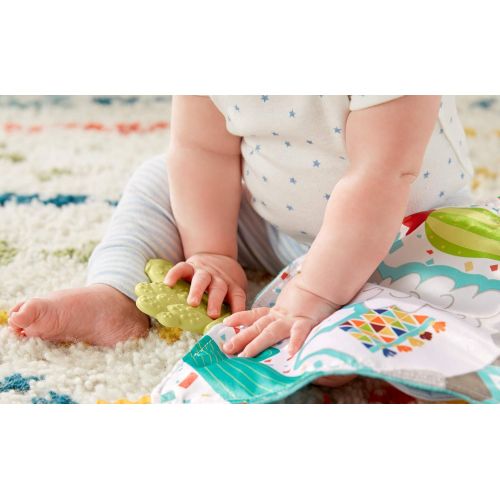  Fisher-Price Teethe and Cuddle Cactus, textured natural rubber infant teething toy with soft blanket for baby ages 3 months and older (GJD38)