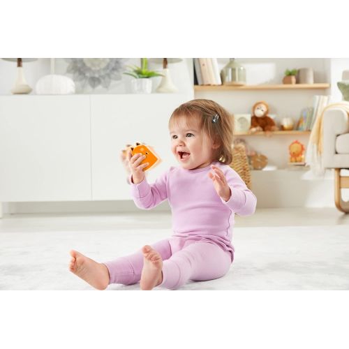 Fisher-Price Stack and Rattle Birdie