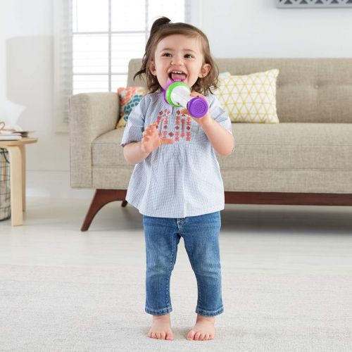  Fisher-Price Laugh & Learn Rock & Record Microphone