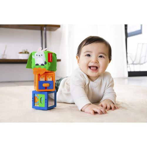  Fisher-Price Stack & Discover Sensory Blocks