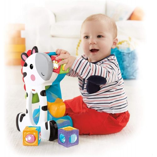  Fisher-Price Roller Blocks Tumblin Zebra,Multicolor