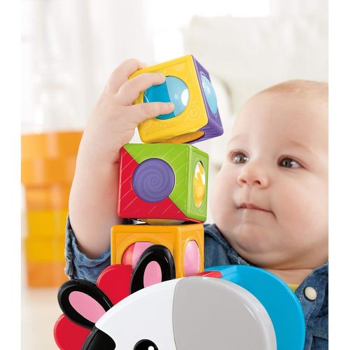  Fisher-Price Roller Blocks Tumblin Zebra,Multicolor