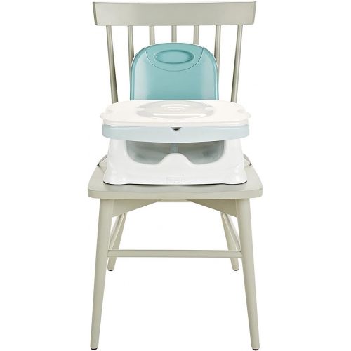  Fisher-Price Healthy Care Deluxe Booster Seat