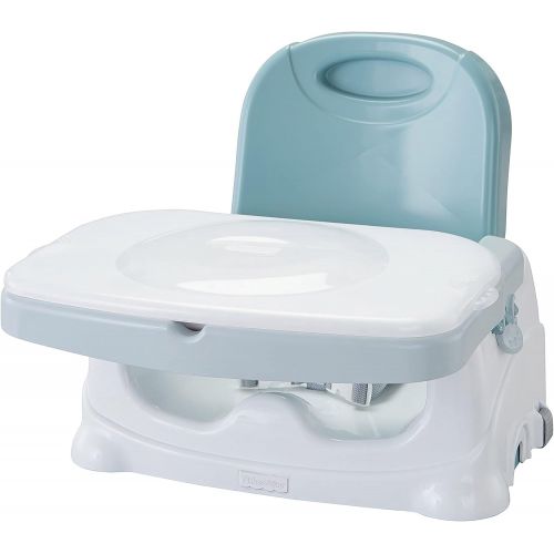  Fisher-Price Healthy Care Deluxe Booster Seat