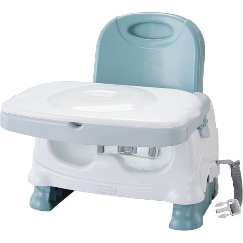  Fisher-Price Healthy Care Deluxe Booster Seat