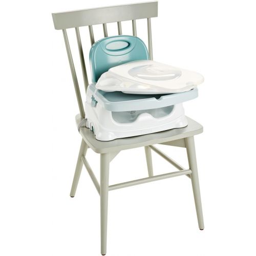  Fisher-Price Healthy Care Deluxe Booster Seat