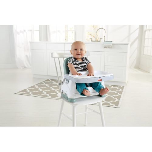  Fisher-Price Healthy Care Deluxe Booster Seat