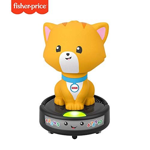  Fisher-Price Laugh & Learn Crawl-After Cat On a Vac