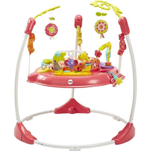  Fisher-Price Jumperoo: Pink Petals