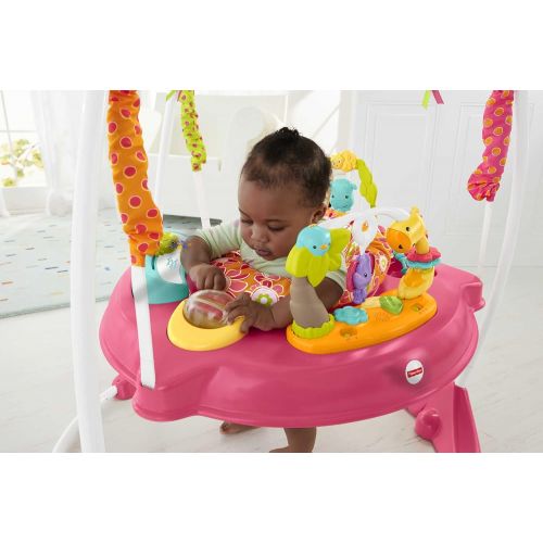  Fisher-Price Jumperoo: Pink Petals