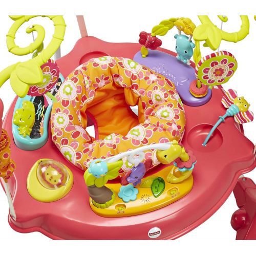  Fisher-Price Jumperoo: Pink Petals