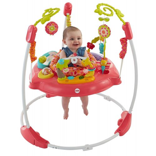  Fisher-Price Jumperoo: Pink Petals