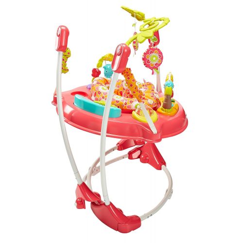  Fisher-Price Jumperoo: Pink Petals