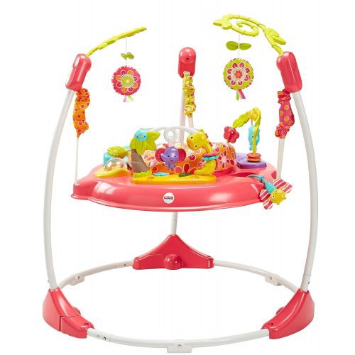  Fisher-Price Jumperoo: Pink Petals