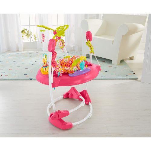  Fisher-Price Jumperoo: Pink Petals