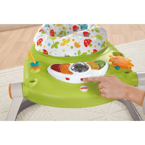  Fisher-Price Woodland Friends SpaceSaver Jumperoo