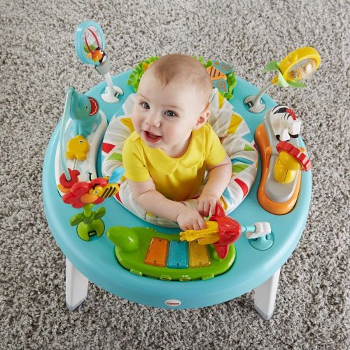  Fisher-Price 3-in-1 Sit-to-Stand Activity Center, Baby to Toddler Convertible Play Center