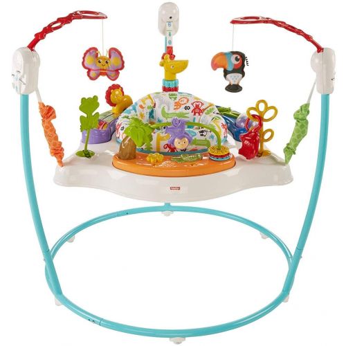  Fisher-Price Animal Activity Jumperoo, Blue, One Size