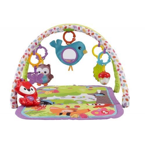  Fisher-Price 3-in-1 Musical Activity Gym, Woodland