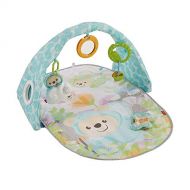 Fisher-Price Butterfly Dreams Musical Playtime Gym [Amazon Exclusive]