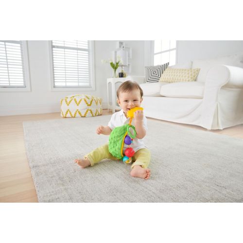  Fisher-Price Sensory Sweet Peas