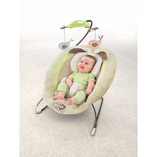  Fisher-Price My Little Snugabunny Deluxe Bouncer