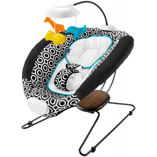  Fisher-Price Deluxe Bouncer