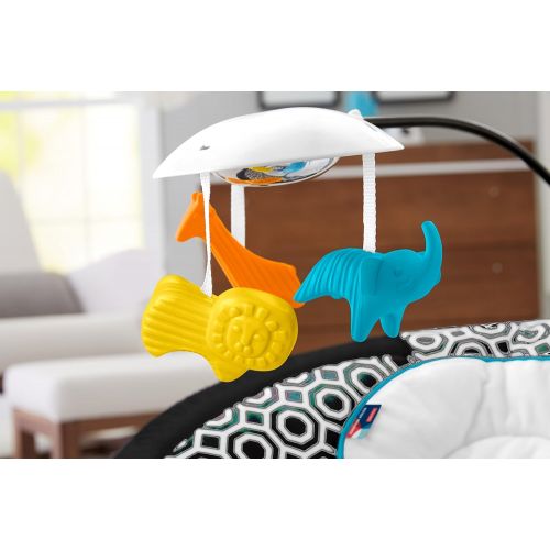  Fisher-Price Deluxe Bouncer