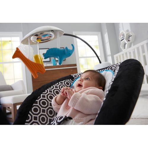  Fisher-Price Deluxe Bouncer