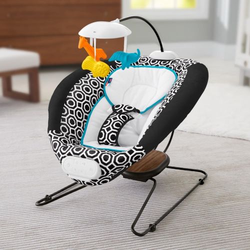  Fisher-Price Deluxe Bouncer