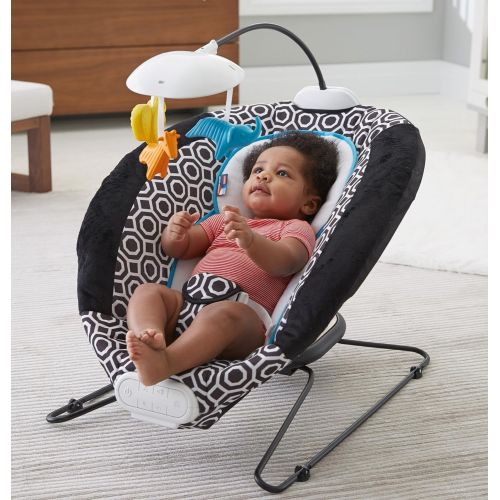  Fisher-Price Deluxe Bouncer