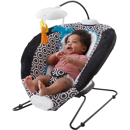  Fisher-Price Deluxe Bouncer