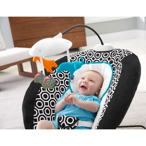  Fisher-Price Deluxe Bouncer