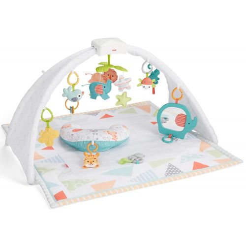  Fisher-Price Safari Music & Lights Gym