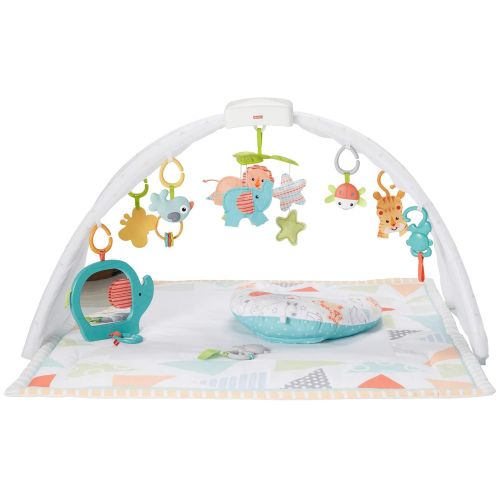  Fisher-Price Safari Music & Lights Gym