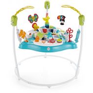 Fisher-Price Color Climbers Jumperoo Amazon Exclusive, Multi