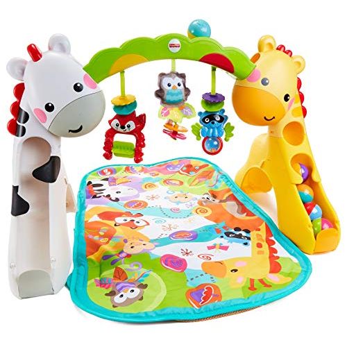  Fisher-Price Newborn-To-Toddler Play Gym With Music and Lights [Amazon Exclusive]