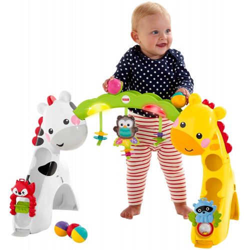  Fisher-Price Newborn-To-Toddler Play Gym With Music and Lights [Amazon Exclusive]