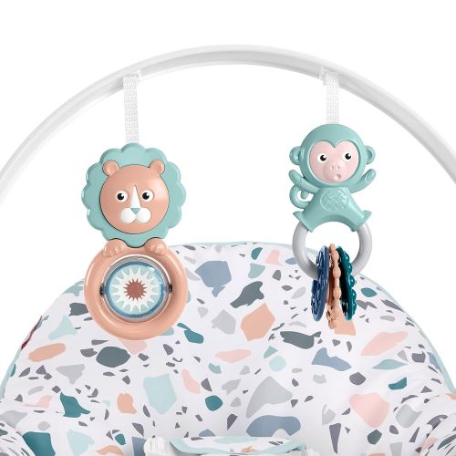  Fisher-Price Infant-to-Toddler Rocker - Pacific Pebble, Portable Baby Seat, Multi